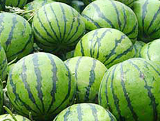 1492737595916835.jpg 20150820150458-20662590535357596.jpg