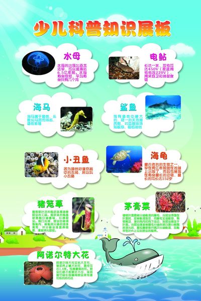 宁远:科普知识进校园惠及学子