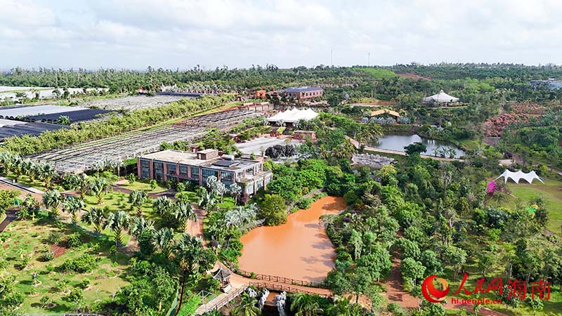 海口全球花果之旅景区试营业 致力于打造农旅融合新标杆